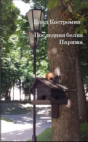 Обложка произведения Последняя белка Парижа