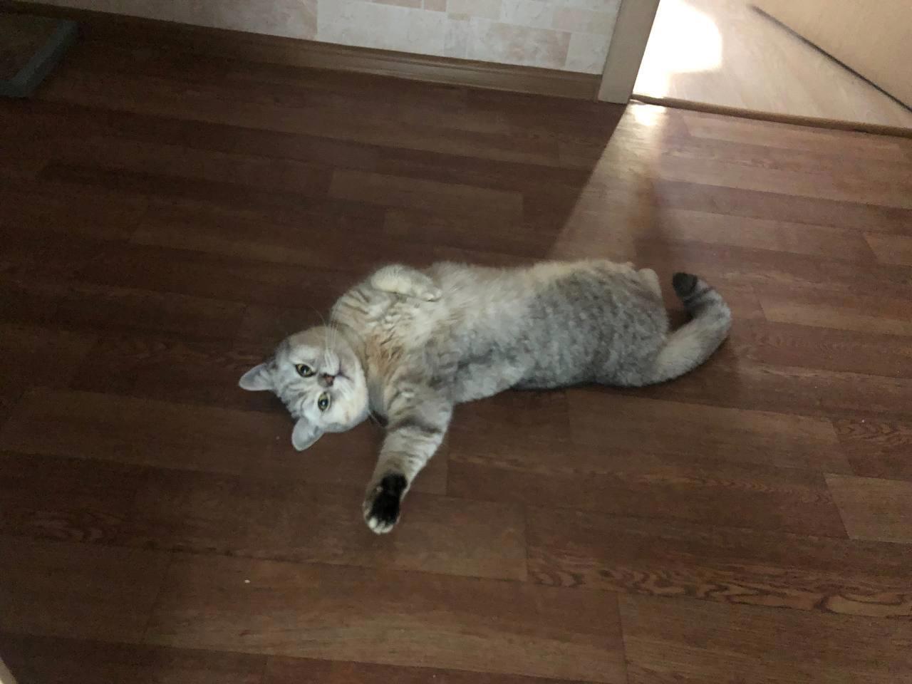 Опрос? Ну давай сюда свой опрос