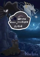 Обложка произведения Шторм между солнцем и луной