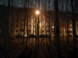 Обложка произведения 3052 год | Сборник из одного стиха