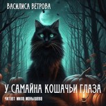 Обложка произведения У Самайна кошачьи глаза