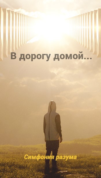 Обложка произведения В дорогу домой