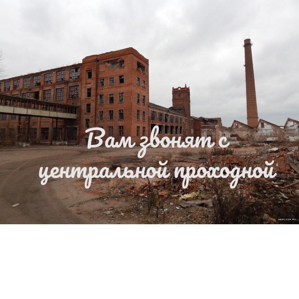 Обложка произведения Вам звонят с центральной проходной