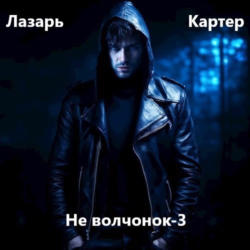 Обложка произведения Не волчонок-3