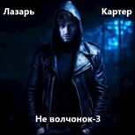 Обложка произведения Не волчонок-3