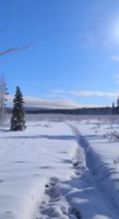 Обложка произведения Исчезнувшие в снегах