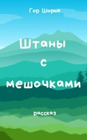 Обложка произведения Штаны с мешочками