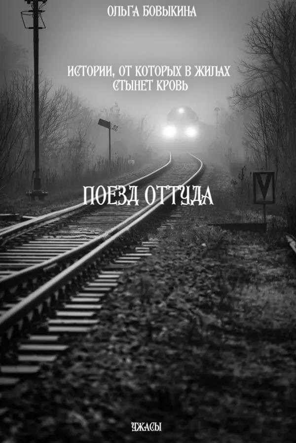 Обложка произведения Поезд оттуда