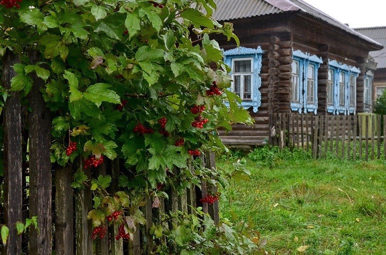 Обложка произведения Домик с резными ставнями
