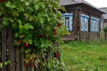 Обложка произведения Домик с резными ставнями