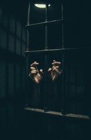 Обложка произведения брат вор