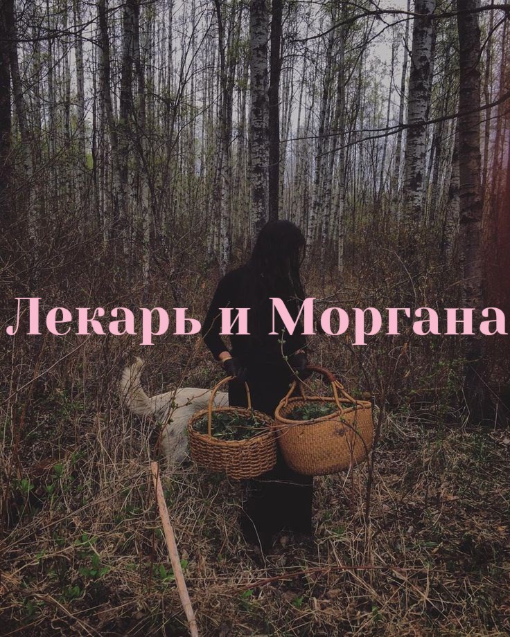 Обложка произведения Лекарь и Моргана