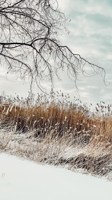Обложка произведения 9 факторов развития жизни в душе.