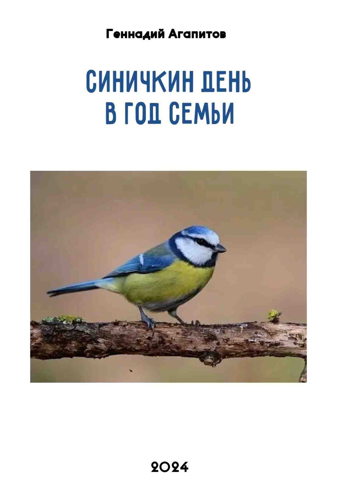 Обложка произведения Синичкин День в Год Семьи.