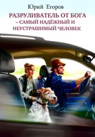 Обложка произведения Разруливатель от Бога – самый надёжный и неустрашимый человек