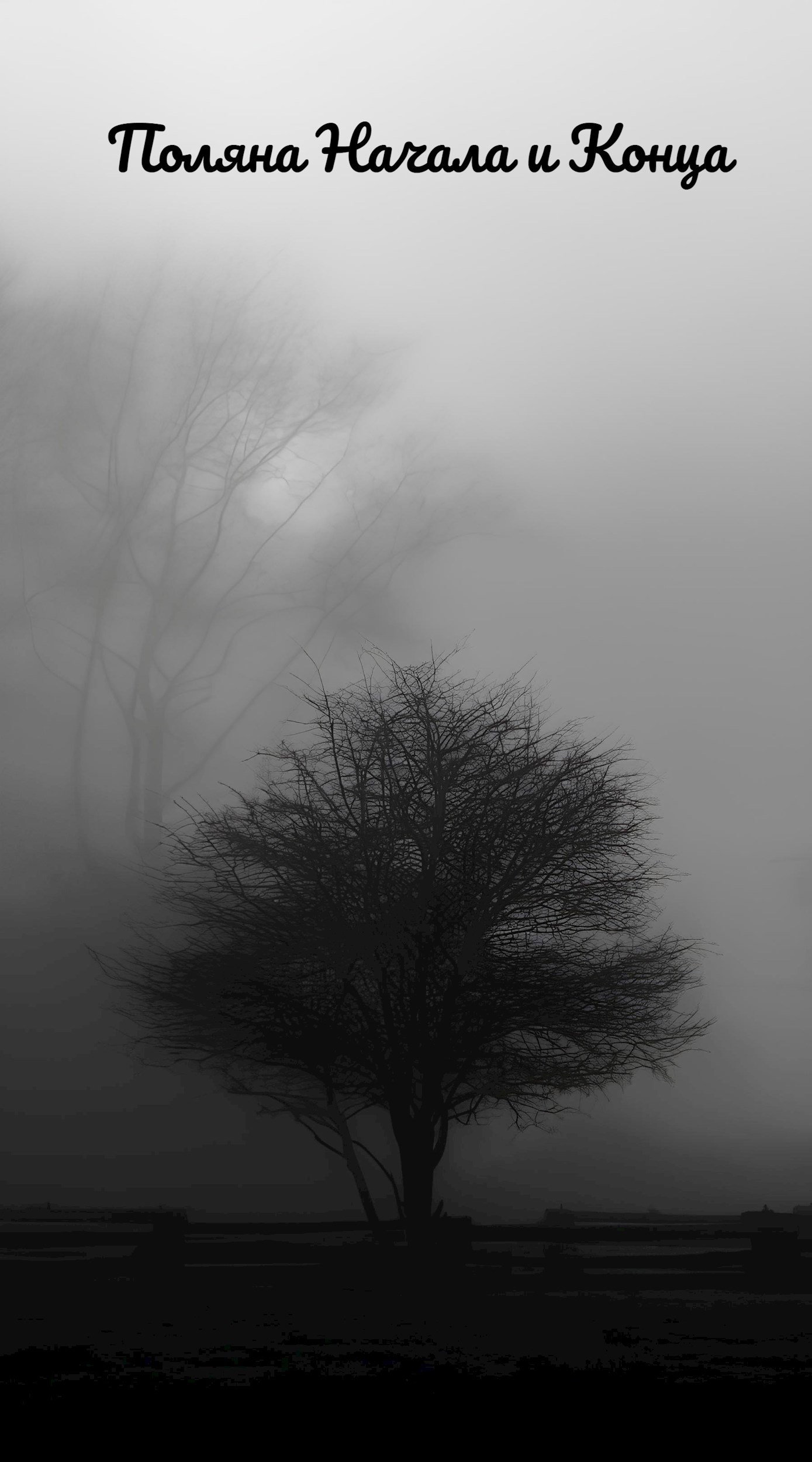 Обложка книги «Поляна Начала и Конца»