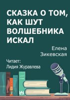 Обложка произведения Сказка о том, как Шут волшебника искал