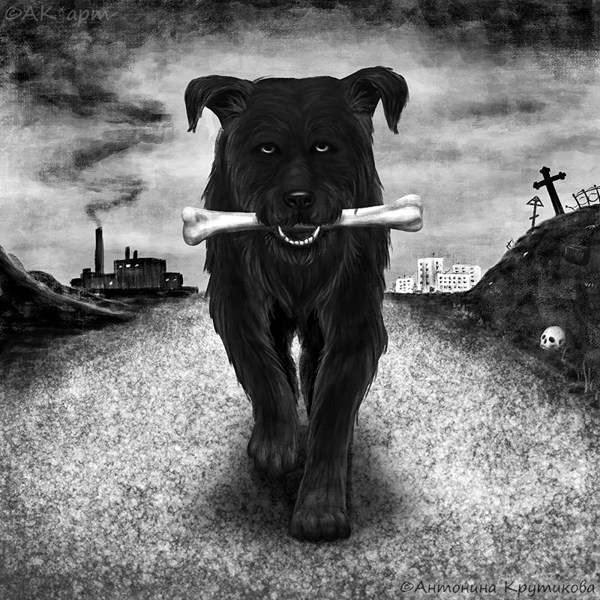 Иллюстрация