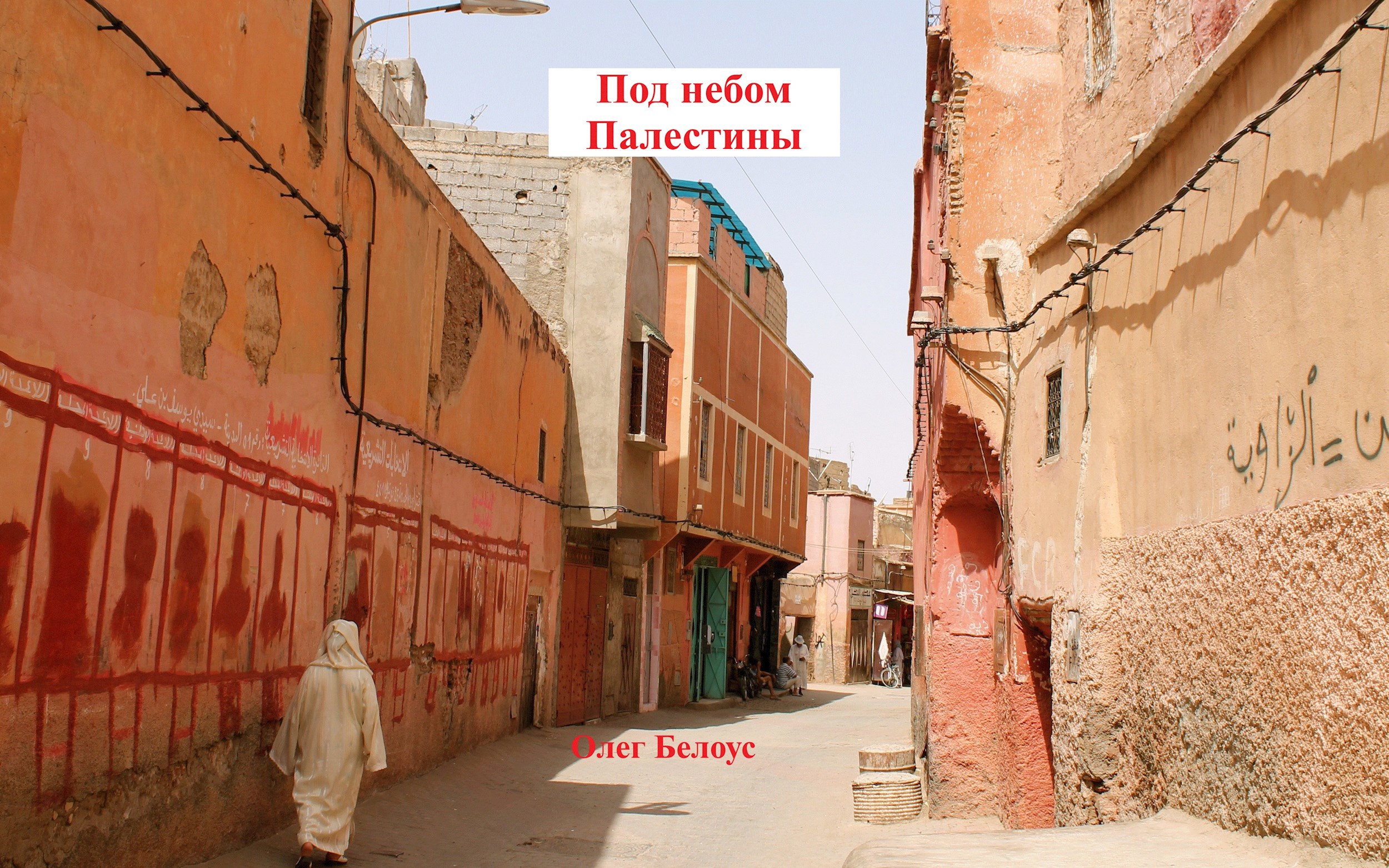Обложка произведения Под небом Палестины