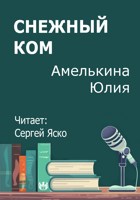Обложка произведения Снежный ком