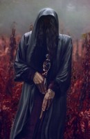 Обложка произведения Сердце мага