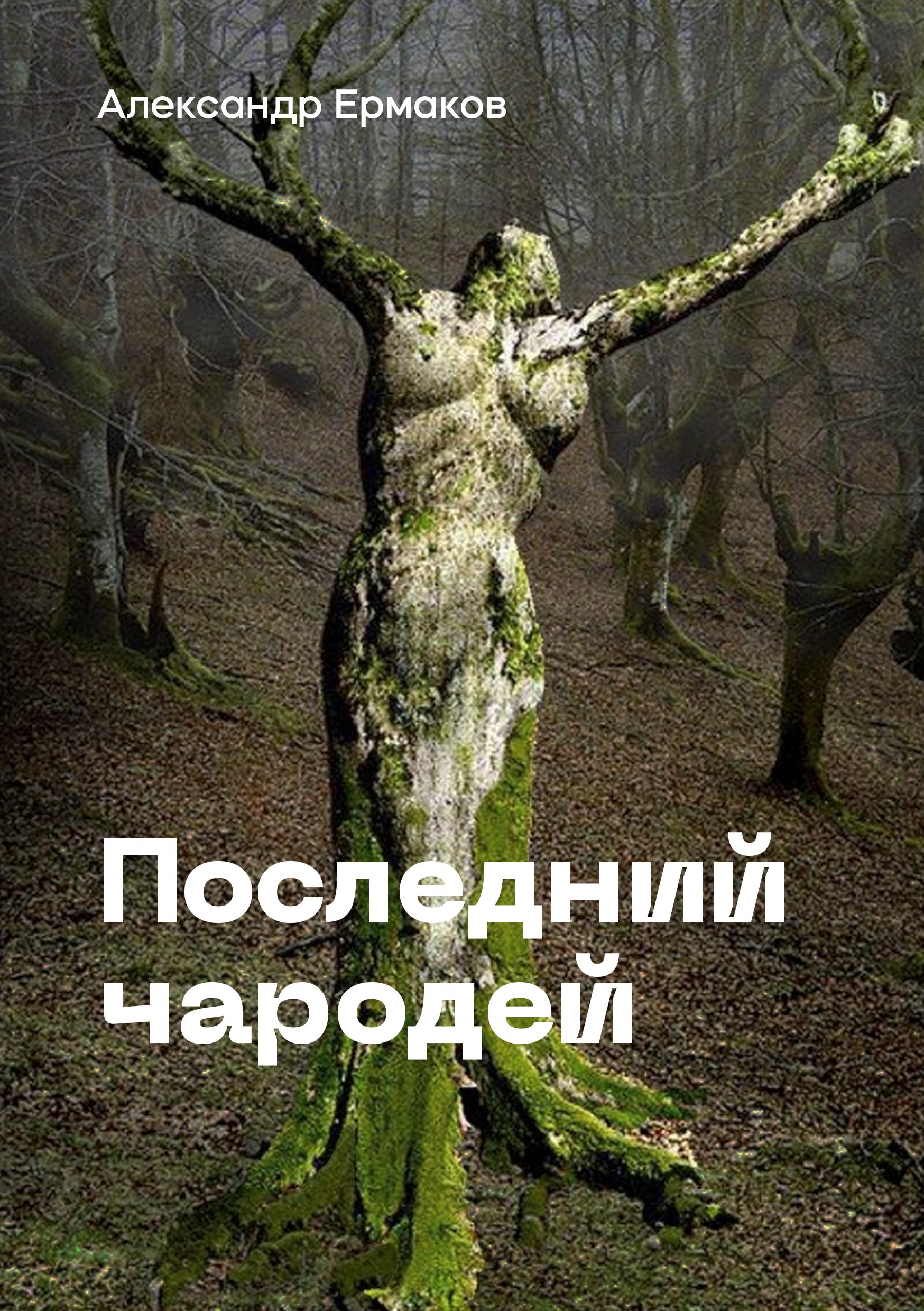 Обложка произведения Последний чародей