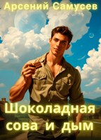 Обложка произведения Шоколадная сова и дымъ