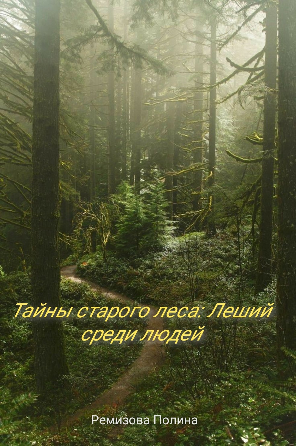 Обложка произведения Тайны старого леса: Леший среди людей.