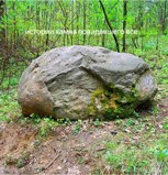 Обложка произведения Истории камня, повидавшего всё