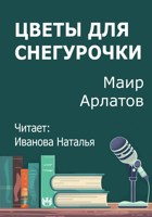 Обложка произведения Цветы для снегурочки