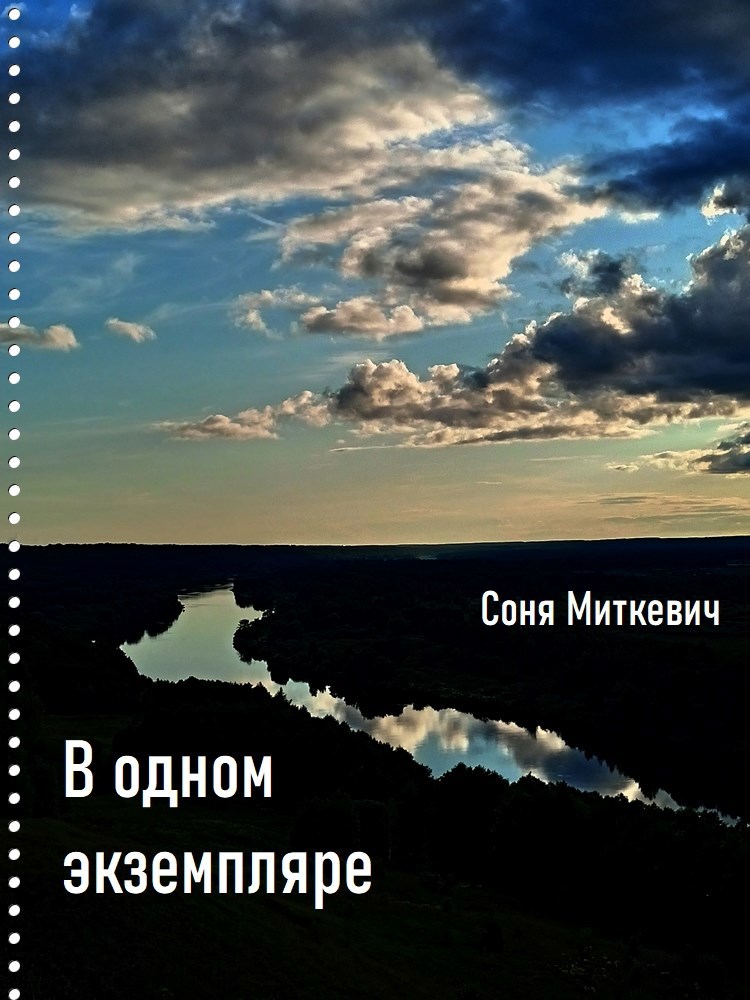 Обложка произведения В одном экземпляре