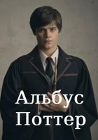 Обложка произведения Альбус Поттер: Фантастические приключения