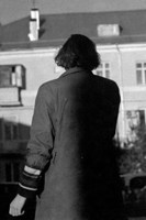 Обложка произведения Пачка листьев
