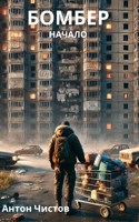 Обложка произведения Бомбер. Начало