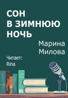 Обложка произведения Сон в зимнюю ночь