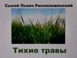 Обложка произведения Производственный роман. Тихие травы.