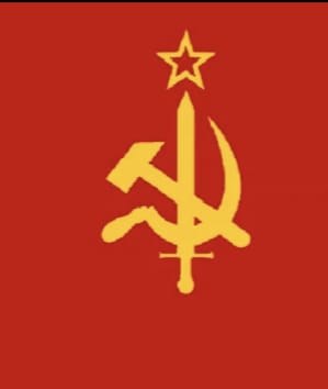 Обложка произведения Два полковника