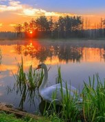 Обложка произведения Мама