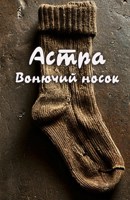Обложка произведения Вонючий носок