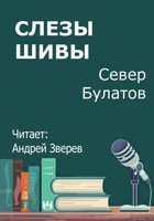 Обложка произведения Слезы Шивы