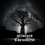 Обложка произведения Остаться в вечности