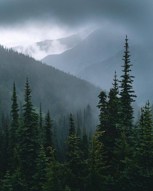 Обложка произведения Елена