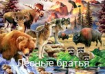 Обложка произведения Заяц, волк и лесные братья .