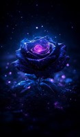 Обложка произведения Черная ведьма