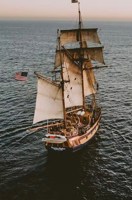 Обложка произведения Зачумленный корабль