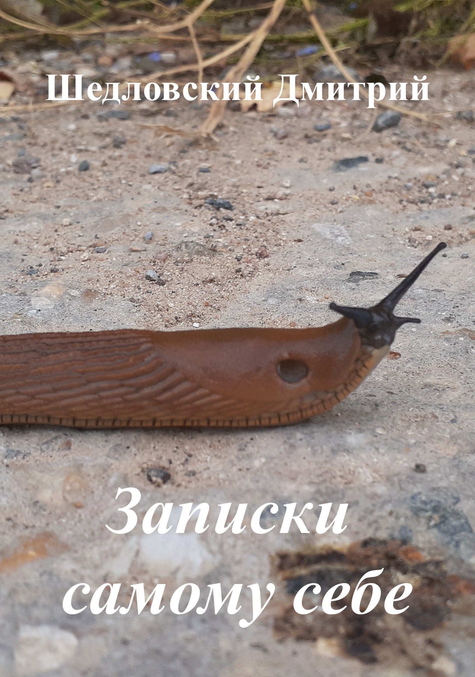 Обложка произведения Записки самому себе