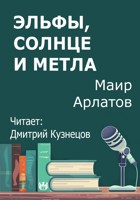 Обложка произведения Эльфы, солнце и метла