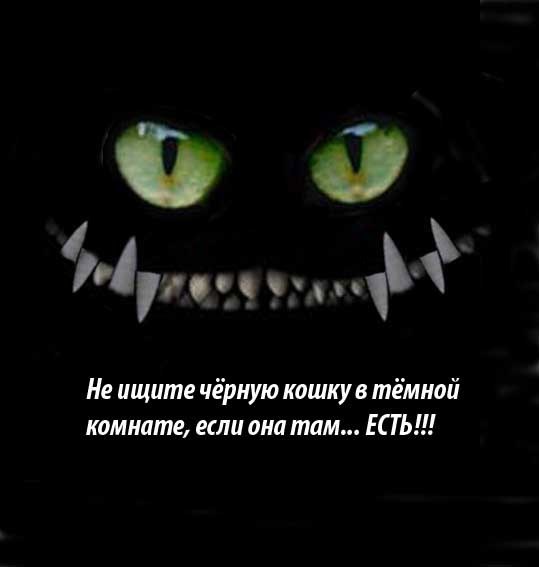 Обложка произведения Пацифист (том 1)