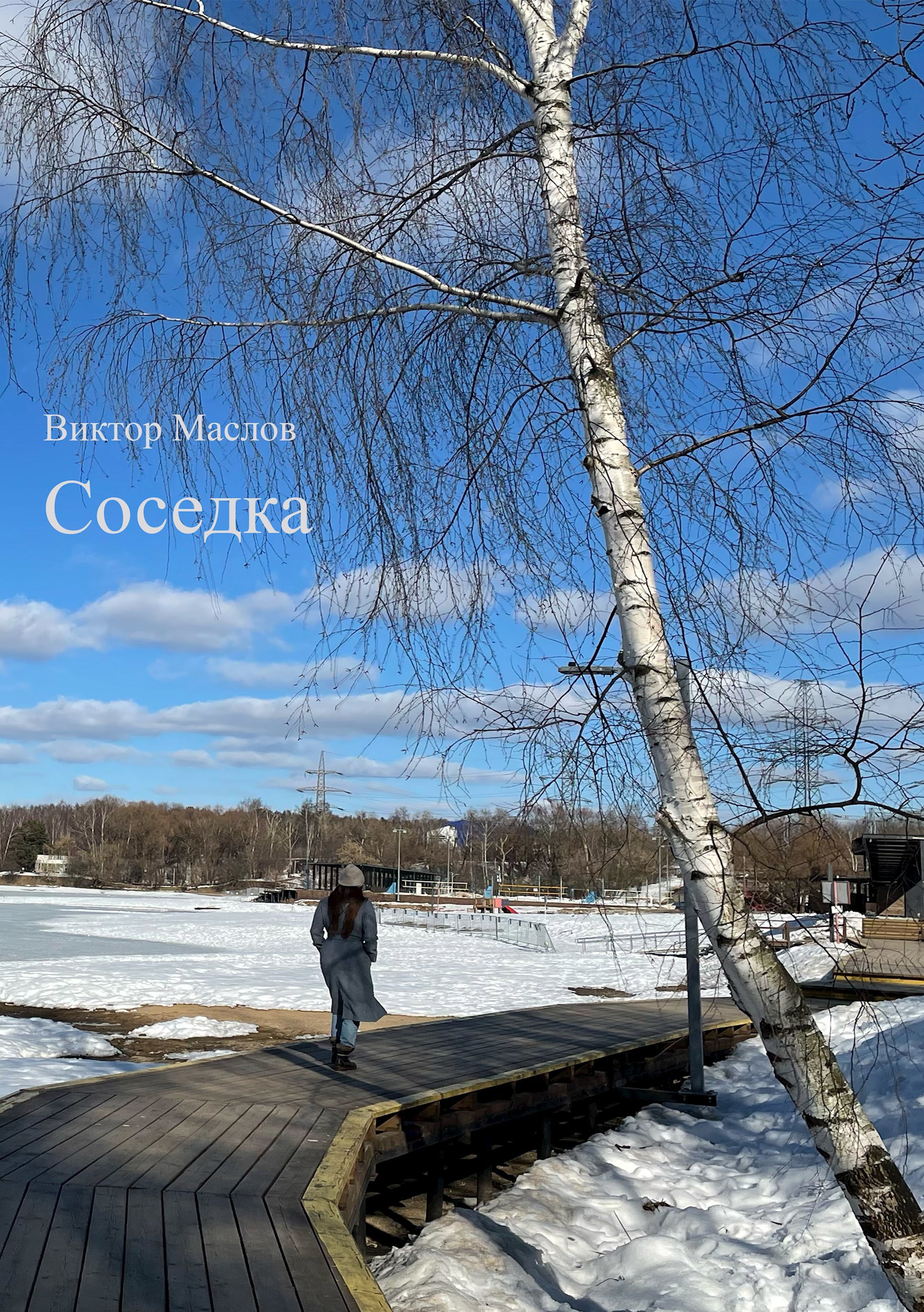 Обложка произведения Соседка