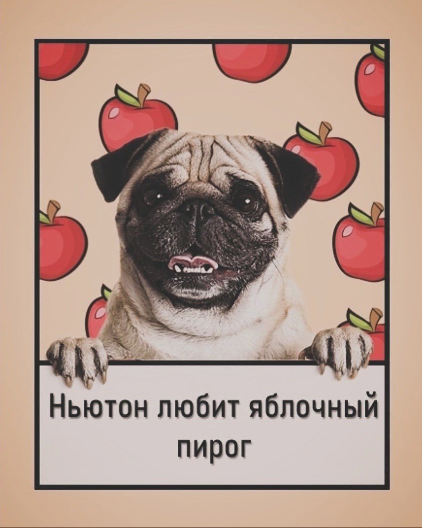 Обложка произведения Ньютон любит яблочный пирог